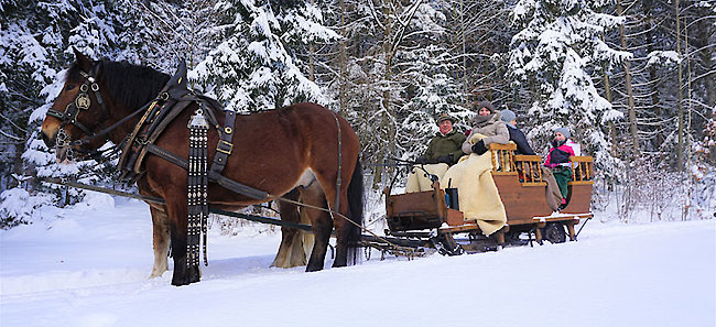 Pferdeschlittenfahrt durch den verschneiten Winterwald in Bayern